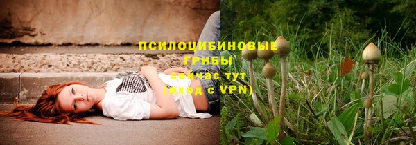 каннабис Алексин