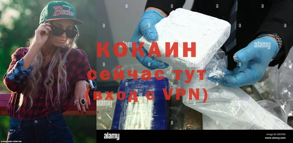дживик Алзамай